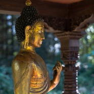 4-Buddha.jpg